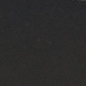 Meet your Posher, Wesley